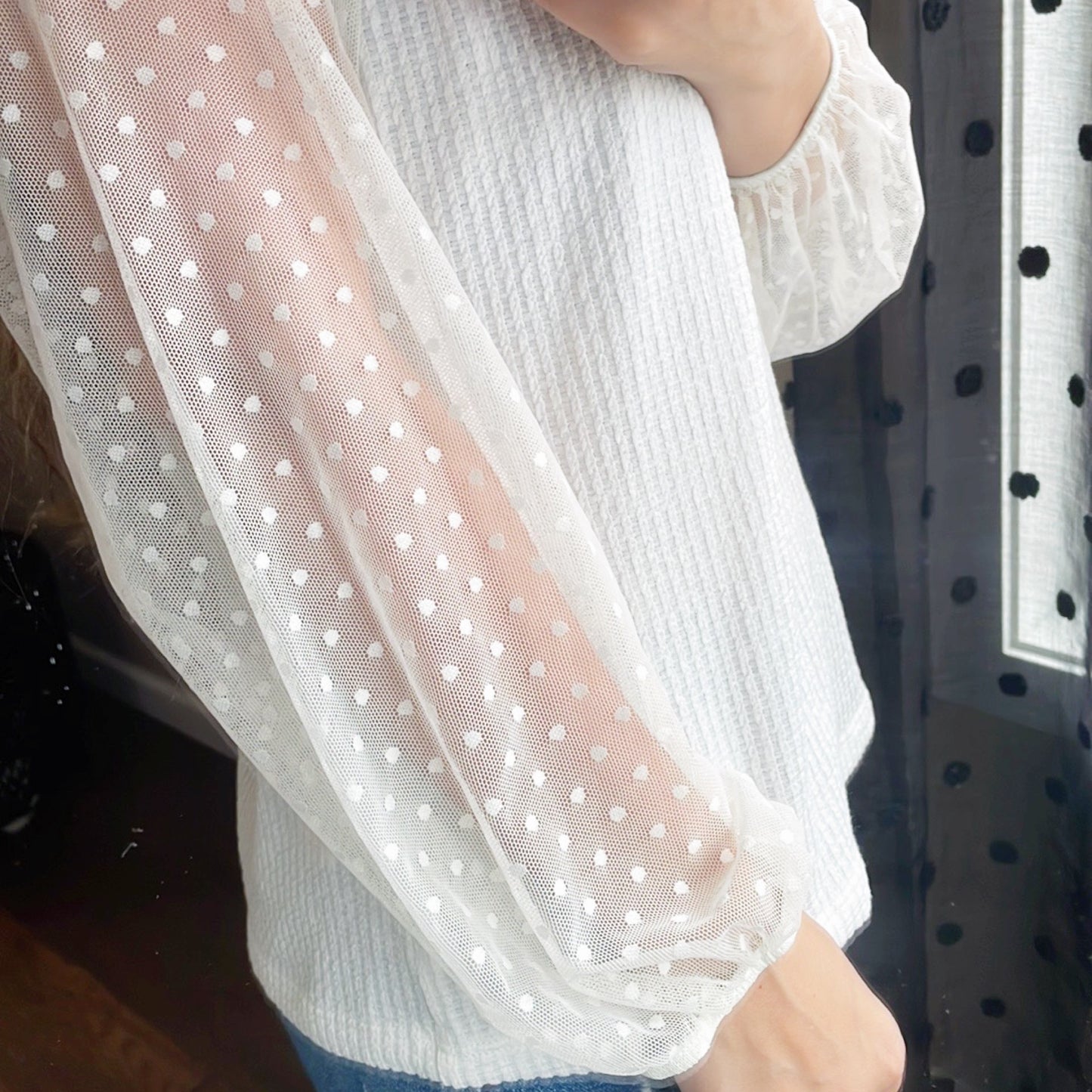 Sheer Dot Sleeve Knit Top